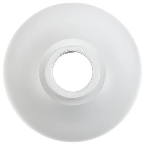 PFA109 Adapter mount for Dome/Turret Suits TIOC Cameras - Image 2