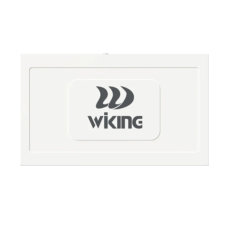 WIKING 8FE+2FE uplink 250m Long Range PoE Switch with 8 PoE Port WK-PS210 - Image 5